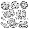 Cookie vector hand drawn illustration. Chocolate chip cookies with crumbs, bitten and whole. Homemade biscuits.