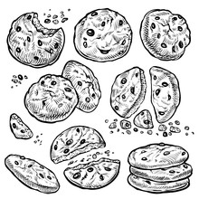 Cookie Vector Hand Drawn Illustration. Chocolate Chip Cookies With Crumbs, Bitten And Whole. Homemade Biscuits.