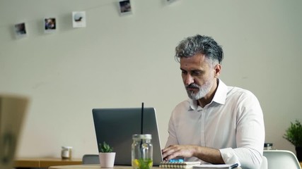 Wall Mural - Mature man sitting at the table in a cafe, using laptop.