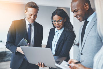 Wall Mural - Smiling group of businesspeople discussing work over a laptop