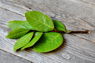 Wall Mural - Bunch of leaves laurel or sweet bay  on a wooden table