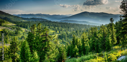 Naklejka - mata magnetyczna na lodówkę Beautiful sunset view in cedar forest in front of sayan mountain range, Ergaki national park, Krasnoyarsk region, Siberia, Russia 