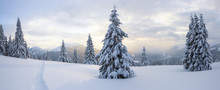 Winter Landscape. Spectacular Panorama Is Opened On Mountains, Trees Covered With White Snow, Lawn And Blue Sky With Clouds.