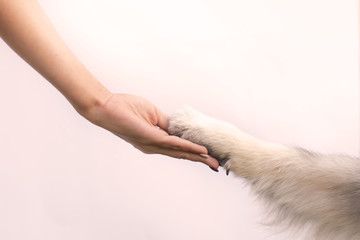 animal paw in human hand