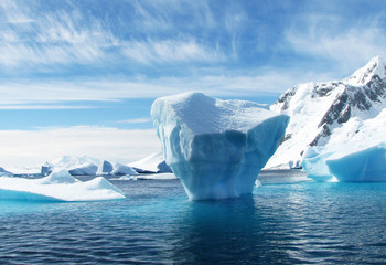 Wall Mural - iceberg in antarctica