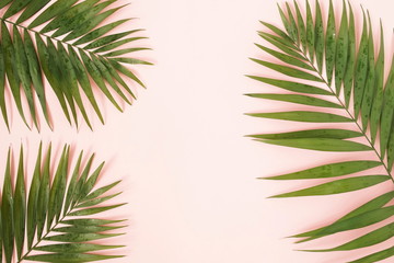 Canvas Print - green palm leaves , branches pattern frame on a pink background. top view.copy space.abstract.