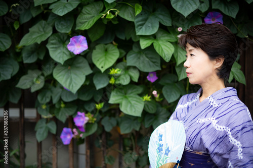 朝顔の前に立つ浴衣姿のシニア女性 Buy This Stock Photo And Explore Similar Images At Adobe Stock Adobe Stock