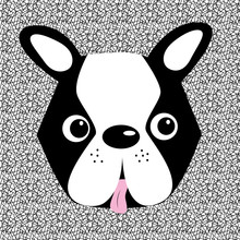 Boston Terrier Breed Face Hand Drawn Illustration, On Seamless Pattern.
