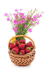 Canvas Print - Ripe strawberry in the basket.