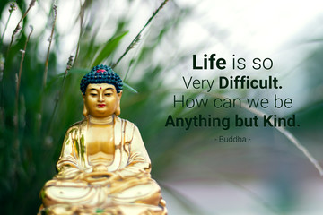 Life is so very difficult. How can we be anything but kind - buddha