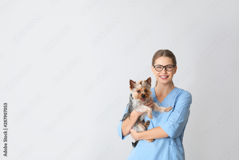 Veterinarian with cute dog on light background - obrazy, fototapety, plakaty 