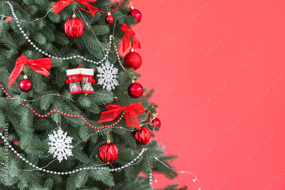 Beautiful Christmas tree on color background, closeup