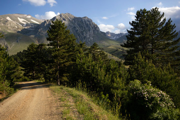 Poster - Beautiful mountain landscape background image