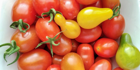 Canvas Print - group of cherry tomatoes red and yellow