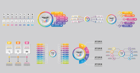 Wall Mural - set of infographics elements vector design template. business data visualization infographics timeli