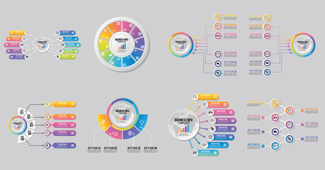 Wall Mural - set of infographics elements vector design template. business data visualization infographics timeli