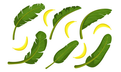 Sticker - Bright Tropical Palm Leaves and Ripe Bananas Vector Illustration