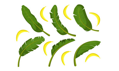 Sticker - Tropical Green Palm Leaves and Ripe Bananas Vector Illustration