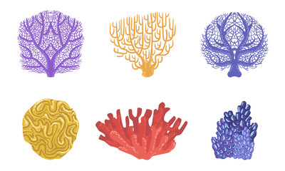 Sticker - Sea Aquatic Plants Set, Colorful Seaweeds and Marine Algae Vector Illustration