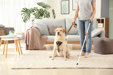 Poster - Young blind woman with guide dog at home