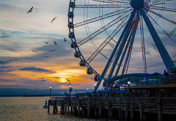 Fototapete - Ferris Wheel on coast of Seattle at Sunset with Birds