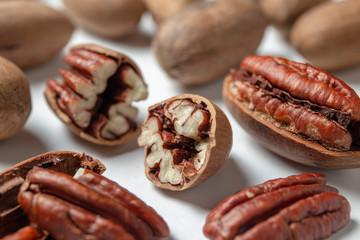 Wall Mural - Group of pecan nuts on the white background