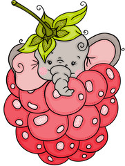 Wall Mural - Little elephant inside in red raspberry