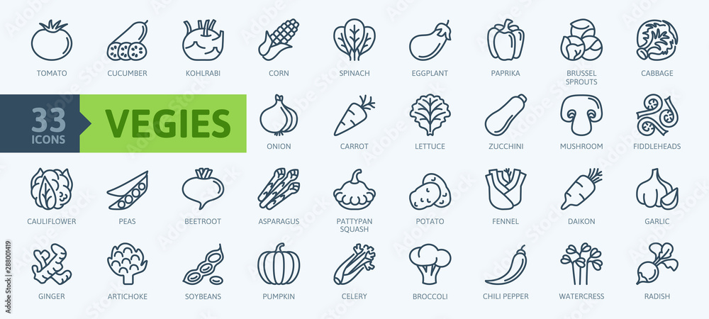 Vegetarian, vegetable, veggies - minimal thin line web icon set. Included the simple vector icons as tomato, cucumber, kohlrabi, cauliflower, pattypan squash, fiddleheads,daikon. Outline icons collect - obrazy, fototapety, plakaty 