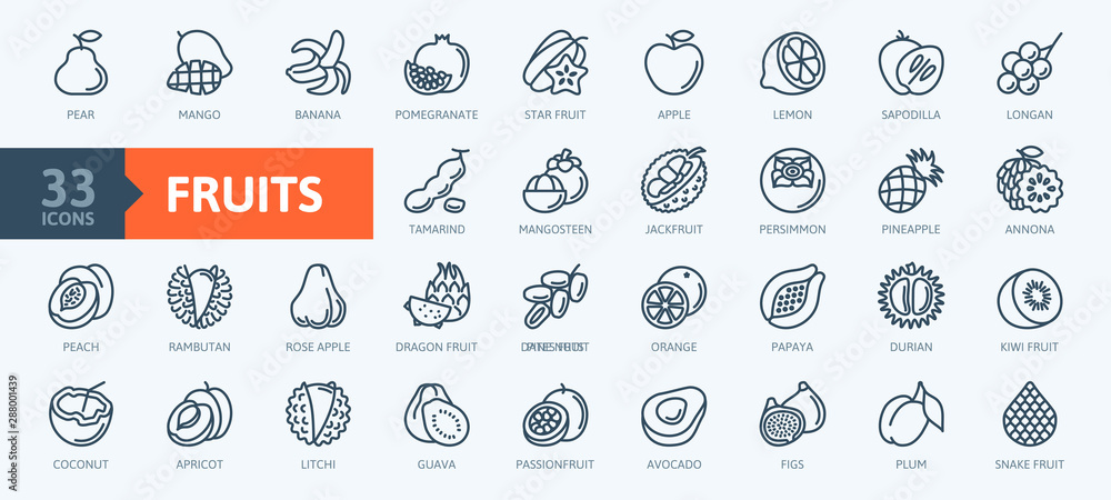 Fruits, exotic fruits, vegetarian - minimal thin line web icon set. Included the simple vector icons as mango, durian, rambutan, guava, tamarind, jackfruit. Outline icons collection.  - obrazy, fototapety, plakaty 