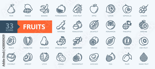 Fotografía Fruits, exotic fruits, vegetarian - minimal thin line web icon set