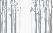 Birch Tree With Deer And Birds Silhouette Background
