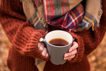 Fall Warm Tea Cup, Woman Holding Cup Of Tea With Warm Cozy Sweater And Scarf, Outdoor Autumn Concept Tea Cup