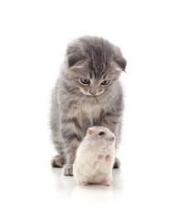 Canvas Print - Kitten and hamster.