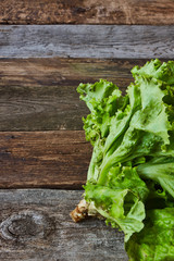 Wall Mural - Head of green fresh salad with root on an old rough wooden surface, healthy eating concept, selective focus