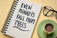 Even Monkays Fall From Trees - Japanese Proverb