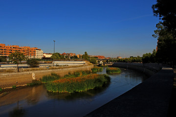 Canvas Print - Madri