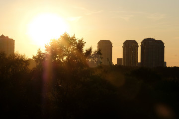 Poster - Moscow, Russia - August, 29, 2019: landscape with the image of Moscow at sunset