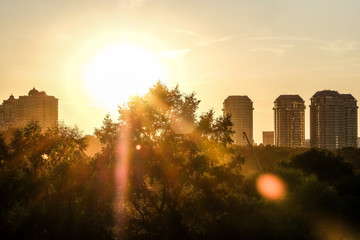 Poster - Moscow, Russia - August, 29, 2019: landscape with the image of Moscow at sunset