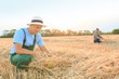 © Pixel-Shot - Male farmer working in wheat field