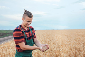 Wall Mural - Male farmer with heap of wheat grains in field