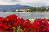 Fototapeta Londyn - Isola bella island lake view with flowers, Lombardy, Italy