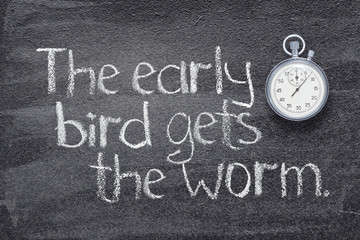 Wall Mural - early bird watch