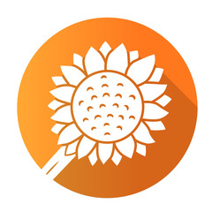 Wall Mural - Helianthus orange flat design long shadow glyph icon. Sunflower head. Field blooming flower. Agriculture symbol. Wild plant. Summer blossom. Vector silhouette illustration