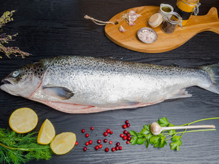 Wall Mural - Salmon fish. Raw salmon fish whole with ingredients for cookings on black wooden table. Top view