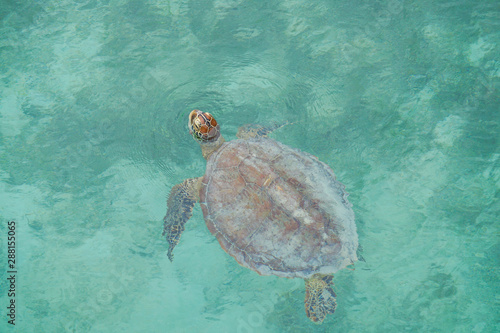 Fotolia アドビストックのデザイン かべいろ Com おしゃれ壁紙リフォーム貼り替え インクジェット壁紙のかべいろ Com