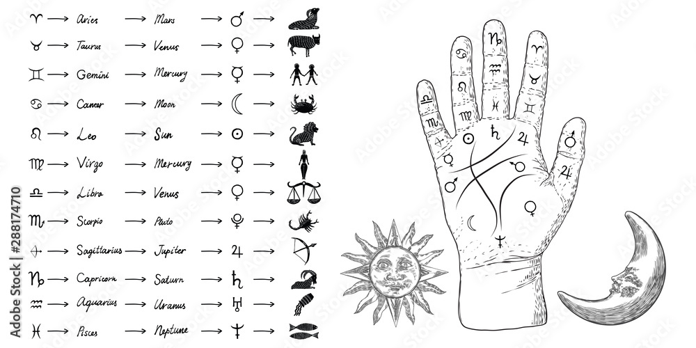 Fototapete Fortune Teller Hand With Palmistry Diagram And Zodiac Constellations Magic Alchemy Spirituality Symbol Hand Drawn Sketchy Palm Reading With Mystic And Occult Hand Drawn Esoteric Symbols Vector Desertsands