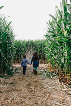 Kids Explore A Corn Maze On A Fall Day