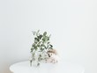© Sophia Hsin/Stocksy - Cute as heck hedgehog on table with plant and copy space