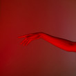 © Sibstock/Stocksy - conceptual photo, elegant female hand in red light