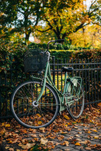 Bicycle In Autumn